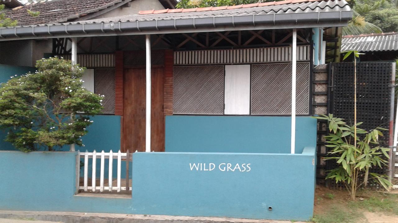 坦加拉Wild Grass别墅 外观 照片